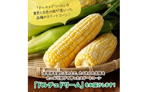 【令和8年発送】宮崎県産とうもろこし　朝どれ！守部さんちのドルチェドリーム5kg 【 先行予約 数量限定 期間限定 とうもろこし スイートコーン トウモロコシ スィートコーン 令和8年発送 】