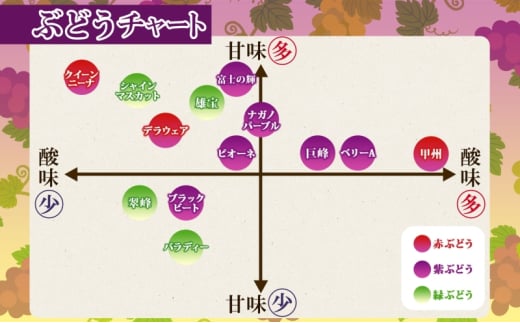 贈答用 雄宝 1房 約700～900g 葡萄 ブドウ ぶどう 大粒 種なし 甘い フルーツ 果物 産地直送 新鮮 お取り寄せ ギフト 国産 季節限定 茨城県 結城市 [№5802-1038]