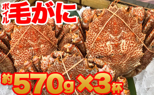 北海道産 冷凍毛がに 570g×3 ボイル済