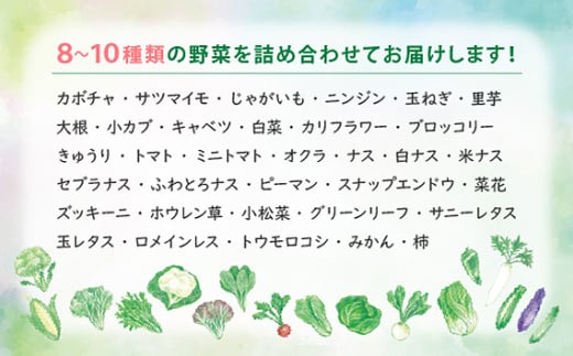 No.215 【3ヶ月定期便】今が旬！お野菜の詰め合わせセット ／ 新鮮 季節の野菜 おまかせ たっぷり 愛知県 特産品