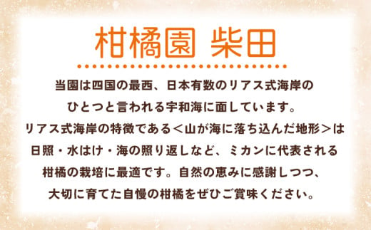 紅まどんなと同品種！＜愛媛果試28号 家庭用 約10kg＞ 訳あり わけあり 自宅用 果物 フルーツ みかん ミカン 蜜柑 オレンジ えひめかし 選べる 食べて応援 特産品 柑橘園柴田 愛媛県 西予市【常温】