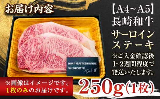 【A4～A5】長崎和牛サーロインステーキ　250g（250g×1枚）【株式会社 MEAT PLUS】 [QBS013]