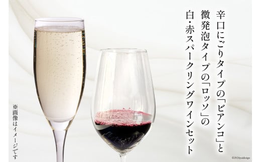 ワイン 白泡 赤泡 2本 セット テンポ ビアンコ ロッソ 各 750ml [Poggio Verde（ポッジョ ヴェルデ） 長野県 池田町 48110664]  ワインセット 赤ワイン 白ワイン スパークリング アルコール 国産ぶどう使用 お酒 酒 アルコール