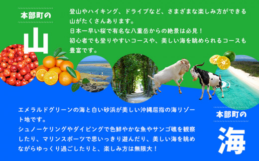 HISふるさと納税クーポン（沖縄県本部町）45万円分 観光 宿泊 宿泊券 トラベル 旅行 クーポン リゾート ホテル 旅館 ファミリー ペア ダイビング 沖縄 本部町 ビーチ やんばる オリオン ゴルフ 美ら海 水族館