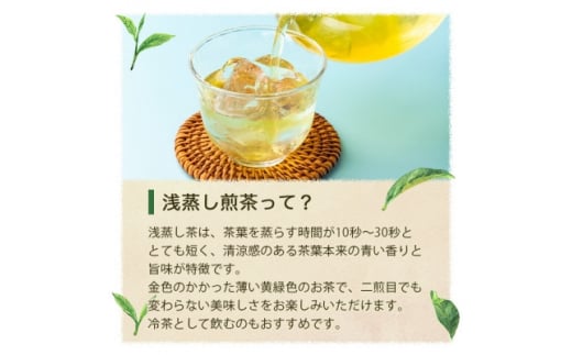 ＜2024年度産＞浅蒸し煎茶(50g×6袋)＜若蒸し煎茶＞＜合計300g＞ A3-6【1496112】