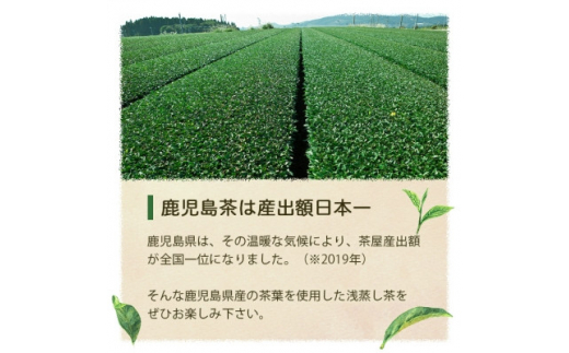 ＜2024年度産＞浅蒸し煎茶(50g×6袋)＜若蒸し煎茶＞＜合計300g＞ A3-6【1496112】