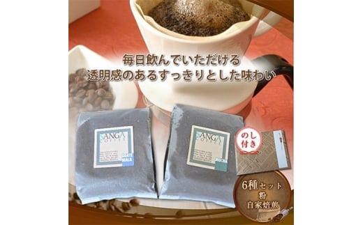 ＜のし付き＞サンガコーヒー〈粉〉100g×6種【1097802】