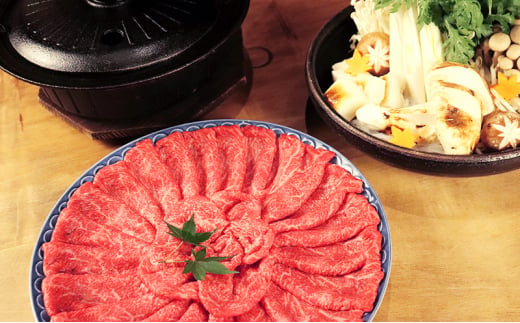 飛騨牛 牛肉 すき焼き しゃぶしゃぶ もも肉 スライス 600g A5 和牛 モモ肉 【岐阜県瑞穂市】[№5787-0982]