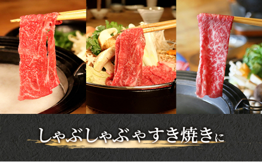 飛騨牛 牛肉 すき焼き しゃぶしゃぶ もも肉 スライス 600g A5 和牛 モモ肉 【岐阜県瑞穂市】[№5787-0982]