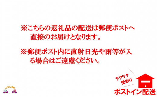 ご自宅のポストに直接投函でお受取りもラクラクですよ！