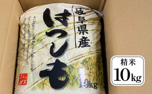 ハツシモ精米10kg [No.246] ／ お米 白米 低農薬栽培 岐阜県 特産