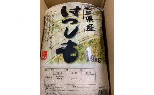 ハツシモ精米10kg [No.246] ／ お米 白米 低農薬栽培 岐阜県 特産