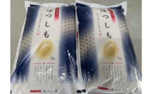 ハツシモ精米10kg [No.246] ／ お米 白米 低農薬栽培 岐阜県 特産