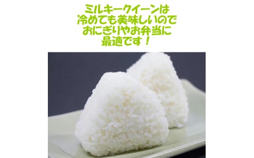 二瓶商店の会津産 ミルキークイーン 白米 5kg×2袋｜新米 令和6年 2024年 会津産 米 お米 こめ 精米 [0776]