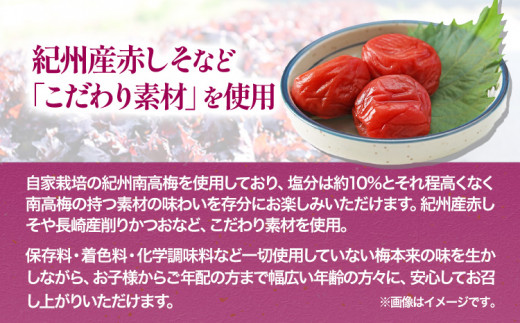 紀州南高梅使用 しそ仕込み完熟梅干し800g 厳選館 《90日以内に出荷予定(土日祝除く)》 和歌山県 日高川町 紀州南高梅　梅干し　しそ仕込み