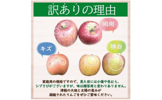 糖度13度以上保証!サンふじ訳アリ家庭用約5kgりんご ※離島・沖縄は配送不可【1563558】