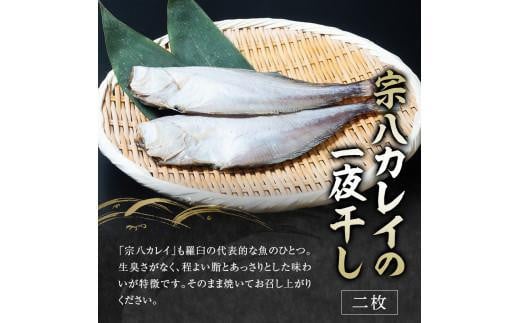 5回定期便 羅臼の魚 おすすめセット(1) 魚 切り身 切身 海鮮 福袋 家族 たら さくらます ほっけ カレイ こまい 一夜干し 粕漬け 北海道産 海鮮 海産物 魚介 魚卵 生産者 応援 支援 詰め合わせ