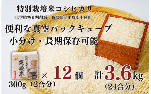 【かわじま町の天領米 真空 キューブ 12個】 特別栽培米 コシヒカリ 白米 300g（2合分） ×12個 計3.6kg（24合分） 食味値80以上 鮮度長持ち 栽培期間中農薬不使用 有機肥料 埼玉県認証 令和5年産 2023年産 小分け 米 コメ 安心 安全 贈答 プレゼント 手土産 お土産