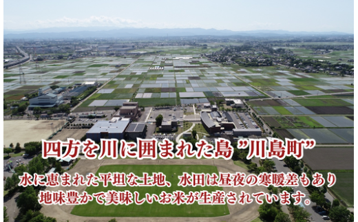 【かわじま町の天領米 真空 キューブ 12個】 特別栽培米 コシヒカリ 白米 300g（2合分） ×12個 計3.6kg（24合分） 食味値80以上 鮮度長持ち 栽培期間中農薬不使用 有機肥料 埼玉県認証 令和5年産 2023年産 小分け 米 コメ 安心 安全 贈答 プレゼント 手土産 お土産