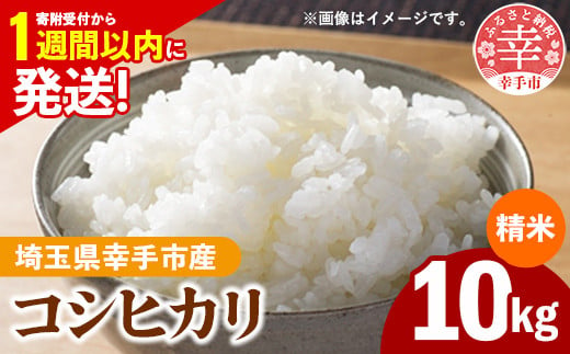 【新米発送】令和6年産 幸手市産 コシヒカリ 白米10kg 色彩選別済 White Rice-  お米 米 こしひかり 精米 10kg 埼玉県 幸手市