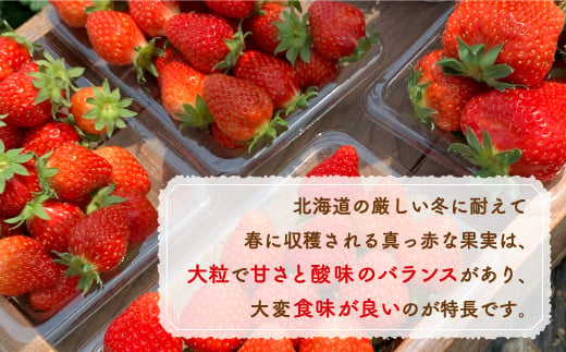 いちご「けんたろう」2トレーセット 【 ふるさと納税 人気 おすすめ ランキング 果物 いちごイチゴ 苺 国産いちご 国産苺 けんたろう セット おいしい 美味しい 甘い 北海道 豊浦町 送料無料 】 TYUAB001