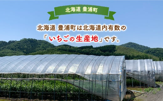 いちご「けんたろう」2トレーセット 【 ふるさと納税 人気 おすすめ ランキング 果物 いちごイチゴ 苺 国産いちご 国産苺 けんたろう セット おいしい 美味しい 甘い 北海道 豊浦町 送料無料 】 TYUAB001