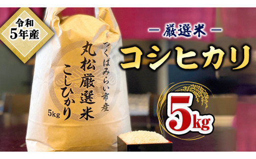 【数量限定】 令和5年産 つくばみらい市 ＜丸松＞ 厳選米 コシヒカリ 5kg 新生活 プレゼント 新生活応援 必要なもの 便利 おすすめ 消耗品 一人暮らし 二人暮らし 必要