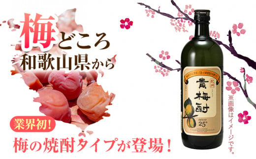 紀州の地酒 貴梅酎 きばいちゅう 25度 720ml×2本 エバグリーン 中野BC株式会社《30日以内に出荷予定(土日祝除く)》和歌山県 日高町 酒 お酒 地酒 梅焼酎