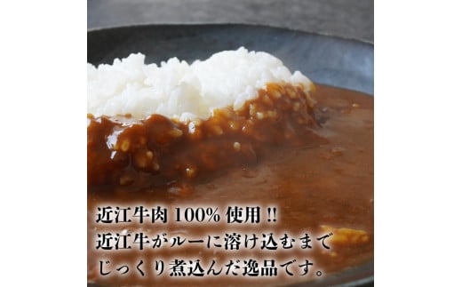 近江牛 カレー 160g × 30袋 セット 【 レトルト カレー 近江牛 カレー 黒毛和牛 牛肉 4800g 肉 ギフト 自宅用 高級 黒毛和牛 国産 ごはんのお供 ふるさと納税 ブランド牛 三大和牛 和牛 贈り物 内祝い 神戸牛 松阪牛 に並ぶ 日本三大和牛 滋賀県 竜王町 澤井牧場 送料無料 】