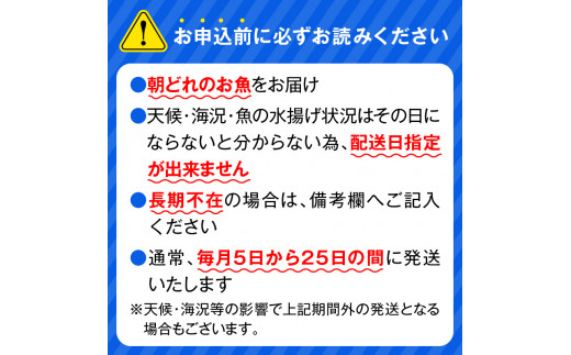 【単月お届け】大和の高級お刺身4人前 N072-YA0388_2