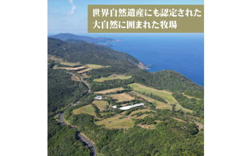 《数量限定》【鹿児島県産 黒毛和牛】厚切り ステーキ 400g 大都牛 奄美大島 宇検村 経産牛 赤身 ヘルシー