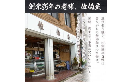 No.5882 ＜2024年12月発送分(12月31日迄に発送)＞＜土日祝着＞本場鹿児島県産！保存料・防腐剤無添加！さつま揚げの詰合せ(5種・約1.2kg) 鹿児島県産 さつま揚げ さつまあげ さつまあげ つけ揚げ つけあげ ギフト 贈答用 小分け セット 詰め合わせ 詰合せ【佐伯屋】