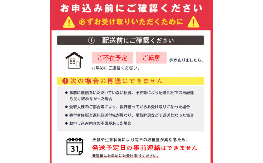 厳選 ラ・フランス 3kg（8～11玉）2L以上 山形産 2024年産 令和6年産 【2024年11月上旬頃～12月下旬頃発送予定】／ 西洋梨 ラフランス 果物 フルーツ 果実 農家直送 お取り寄せ デザート おやつ 秋 冬 特産 東北 山形県　012-B-OT001