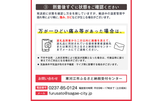 厳選 ラ・フランス 3kg（8～11玉）2L以上 山形産 2024年産 令和6年産 【2024年11月上旬頃～12月下旬頃発送予定】／ 西洋梨 ラフランス 果物 フルーツ 果実 農家直送 お取り寄せ デザート おやつ 秋 冬 特産 東北 山形県　012-B-OT001