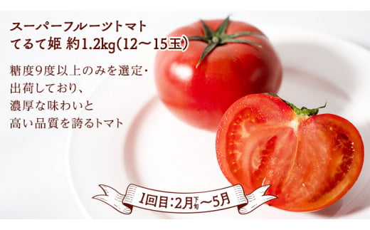 【 定期便 】【 2025年2月下旬から発送開始 全4回 】 数量限定 贅沢 フルーツ 満喫コース 旬の果実 旬のフルーツ くだもの 果実 トマト フルーツトマト スイカ いちご メロン 特選 贅沢 厳選 定期便 [BC056sa]