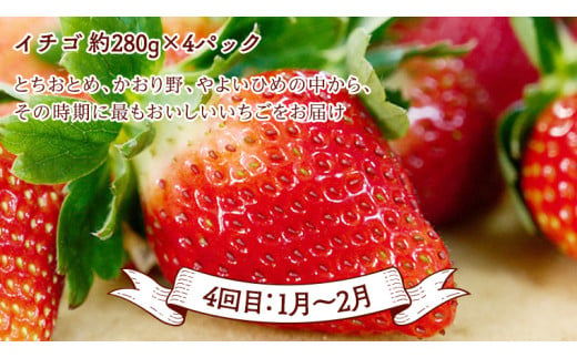 【 定期便 】【 2025年2月下旬から発送開始 全4回 】 数量限定 贅沢 フルーツ 満喫コース 旬の果実 旬のフルーツ くだもの 果実 トマト フルーツトマト スイカ いちご メロン 特選 贅沢 厳選 定期便 [BC056sa]