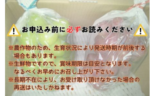 【数量限定】2種のぶどう(シャインマスカット・クイーンルージュ(R))食べ比べセット　計２房