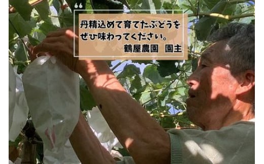 【数量限定】2種のぶどう(シャインマスカット・クイーンルージュ(R))食べ比べセット　計２房