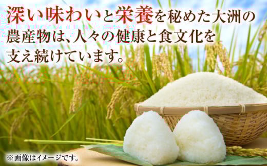 お米 ご飯 おにぎり ごはん 白米 野菜 和食 おコメ 納豆 日本食 おこめ 国産 精米 5kg ヒノヒカリ 大洲市産 安心 