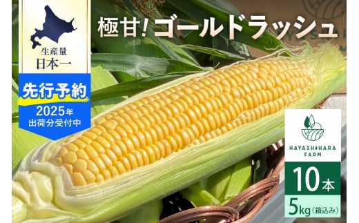 【2025年分先行予約】北海道十勝芽室町 極甘とうもろこし ゴールドラッシュ 10本  me028-001c-25