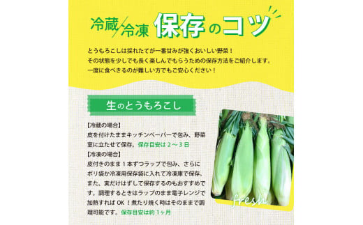 【2025年分先行予約】北海道十勝芽室町 極甘とうもろこし ゴールドラッシュ 10本  me028-001c-25