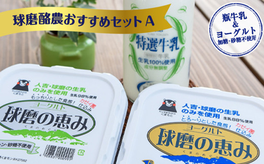 【父の日用】ヨーグル党総選挙　ム党の部　第2位受賞！球磨酪農おすすめセットA(瓶牛乳&ヨーグルト加糖・砂糖不使用)