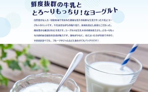 【父の日用】ヨーグル党総選挙　ム党の部　第2位受賞！球磨酪農おすすめセットA(瓶牛乳&ヨーグルト加糖・砂糖不使用)