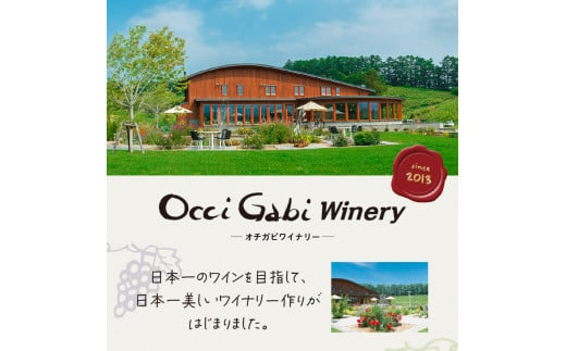 【OcciGabi Winery】 ピノ・ノワール 750ml　余市町産ぶどうを使用した 赤ワイン ピノ･ノワール 750ml OcciGabi Winery 北海道 余市 ぶどう お酒 ワイン 葡萄酒 果実酒 複雑な味 深い味わい お魚料理 お肉料理 和食 お取り寄せ 送料無料