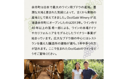 【OcciGabi Winery】 ピノ・ノワール 750ml　余市町産ぶどうを使用した 赤ワイン ピノ･ノワール 750ml OcciGabi Winery 北海道 余市 ぶどう お酒 ワイン 葡萄酒 果実酒 複雑な味 深い味わい お魚料理 お肉料理 和食 お取り寄せ 送料無料