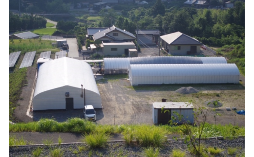 2011年紀伊半島大水害の復興地を活性させたく頑張っています。