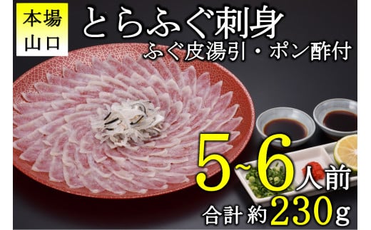 とらふぐ 刺身 5-6人前（冷凍）【ふぐ刺身 ふぐ刺し ふぐ 刺身 フグ 配送日指定可能 日時指定可能 ★レビューキャンペーン対象★ 年内配送】