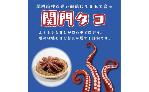 関門タコ 柔らか煮 3個セット 750g 冷凍 タコ 蛸 たこ おつまみ ご飯のお供 おかず 食べきりサイズ 保存 便利 関門海峡 下関 山口