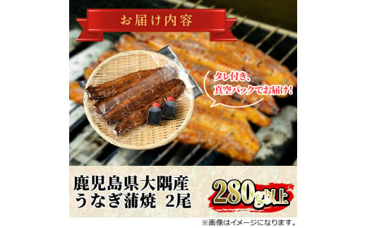 【0263708a】鹿児島県産東串良町のうなぎ蒲焼(2尾・計280g以上・秘伝のタレ付き) うなぎ 高級 ウナギ 鰻 国産 蒲焼 蒲焼き たれ 鹿児島【うなぎ太郎】