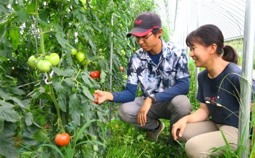 【先行予約】北海道栗山町産　うまみぎっしり大玉トマト２kg　YB044